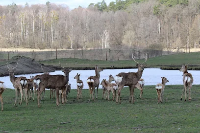 Park Dzikich Zwierząt Galindia (Kadzidłowo)
